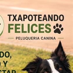 Txapoteando Felices Peluquería canina y felina, Bilbao