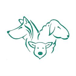 Consultorio Veterinario Vilecha