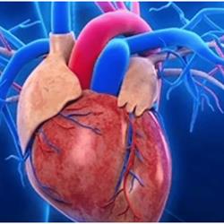Consulta Cardiovascular Dr. Juan Jose Feijoo Osorio Las Palmas - Madrid, Las Palmas de Gran Canaria