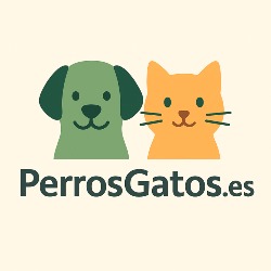 PerrosGatos, Zaragoza