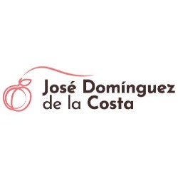 José Dominguez de la Costa, Murcia