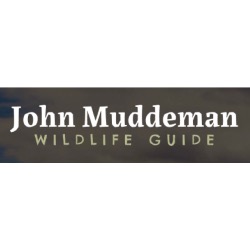 John Muddeman - Wildlife Guide, Fresnedilla de la Oliva