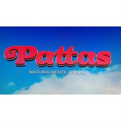 Pattas, Ansoain