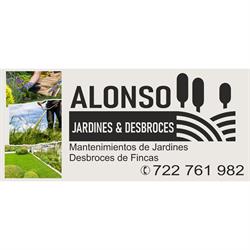 Alonso Jardines y Desbroces, Nocedo