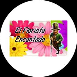 El Florista Encantado, Argamasilla de Calatrava