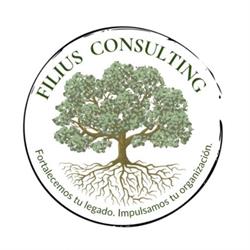 Filius Consulting, Madrid