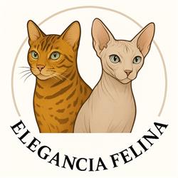 Elegancia Felina, Cijuela