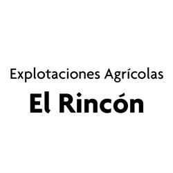Explotaciones agrícolas el rincón, Sevilla