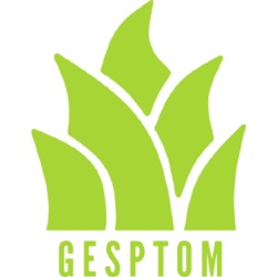 Gesptom, Salt