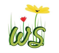 Wonder School, Santiago de Compostela