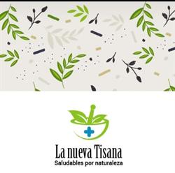 La NUEVA Tisana, Oviedo
