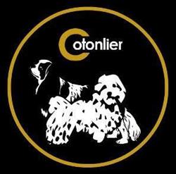 Cotonlier, Tarragona