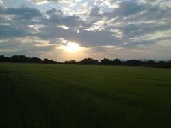 Cal Finestres, Castellnou d'Osso