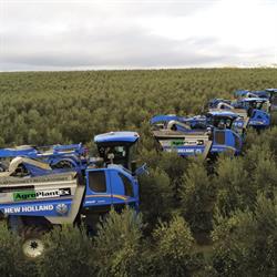 Agroplantex Extremadura, Badajoz
