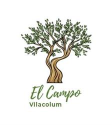 El Campo Vilacolum, Torroella de Fluviá