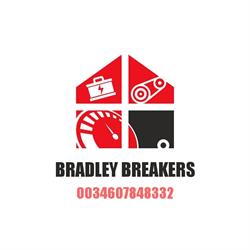 Bradley Breakers, Alicante