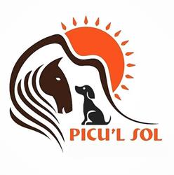 Centro Ecuestre Picu'l Sol, Pupilaje Caballos semi-libertad., Gijón