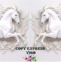 COPY EXPRESS VIGO (FOTOS DNI) (LIBRERIA) (ESTAMPADOS), Vigo