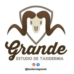 Taxidermia Grande, Carbajo