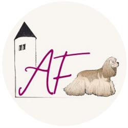 Torrelobato, Peluquería Canina, Zaragoza