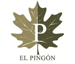 El Pingón Hotel Rural, Manzanal de Arriba