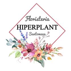 Floristería Hiperplant, Santomera