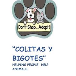 Colitas Y Bigotes 2 Cehegin