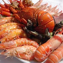 Pescaderia HNOS Andreu, Zaragoza