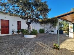 Finca Mirandilla / Campo Bravo, Gerena
