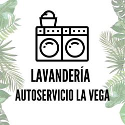 Lavandería Autoservicio La Vega, Vega de San Mateo