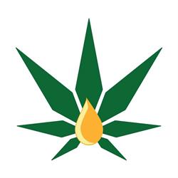 Kauricanna CBD Torrevieja