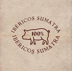 Ibéricos Sumatra, El Castillo de las Guardas