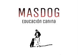 Masdog Educación Canina, Elche