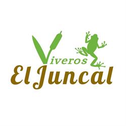 Viveros El juncal, Laredo