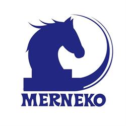Merneko, Abadiño