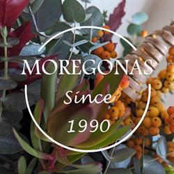 Moregon, Cuacos de Yuste