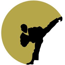Renegade Martial Arts, Palma de Mallorca