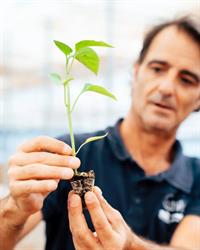 DAKADY GREENHOUSE SOLUTIONS S.L, La Mojonera
