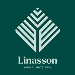 Linasson Group, Málaga