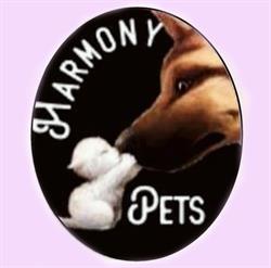 Harmony Pets, Puntagorda