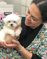 Peluquería Canina Ven Aquí, Albelda de Iregua