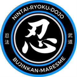 Bujinkan Nintai-Ryoku dojo - Artes marciales Granollers, Mataró