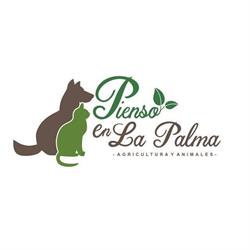 Pienso en La Palma, Breña Alta