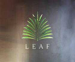 Leaf, Marbella