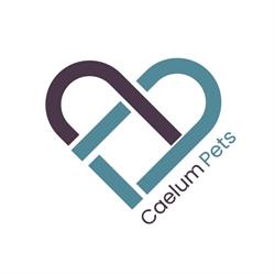 Caelum Pets, San Fernando de Henares