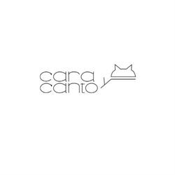CARA Y CANTO FORMACIÓN, Getafe