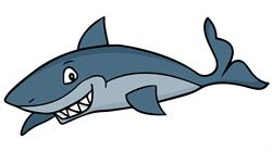 SHARK CAFÉ, Alicante