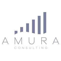 Amura Consulting, San Antonio de Benagéber