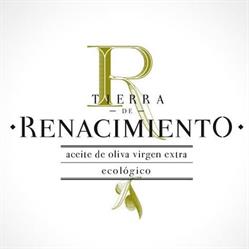Tierra de Renacimiento, Baeza