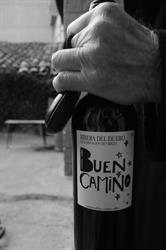 Bodega Buen Camino - Ribera del Duero, Tortoles de Esgueva